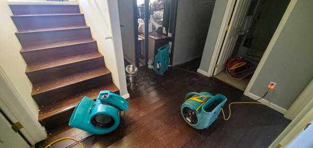 Best Fire Damage Restoration  in , PA