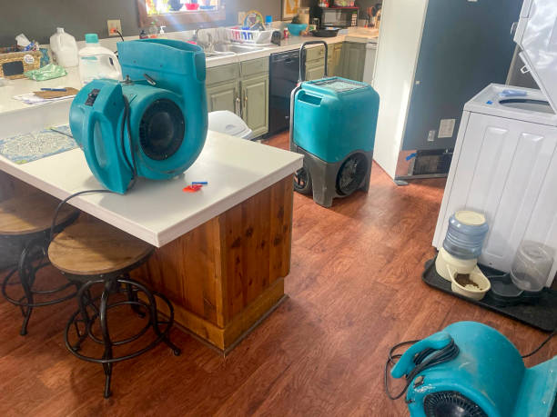 Best Water damage restoration near me  in , PA
