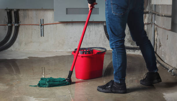 Best Sewage cleanup and water damage restoration  in , PA