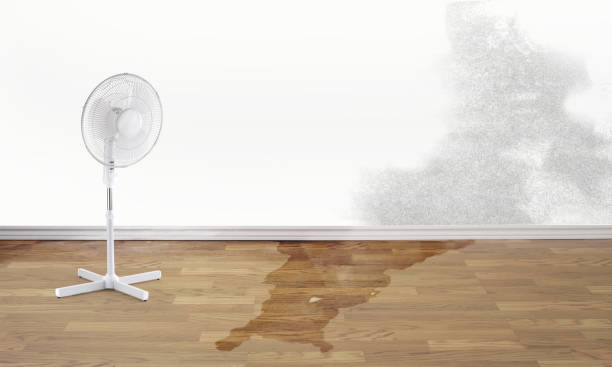 Best Basement water damage restoration  in , PA