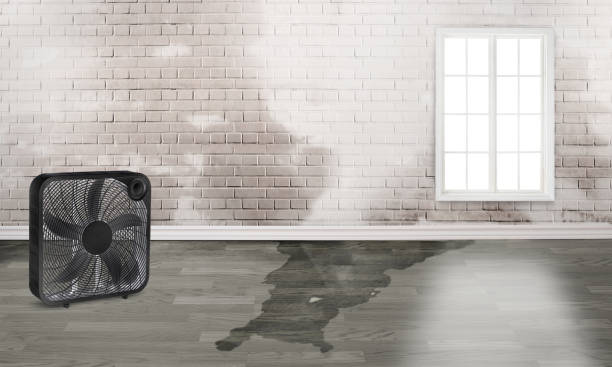 Best Flooded house restoration  in , PA