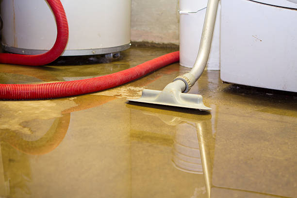 Best Fire Damage Restoration  in , PA