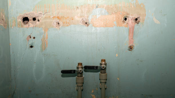 Best Emergency water extraction  in , PA