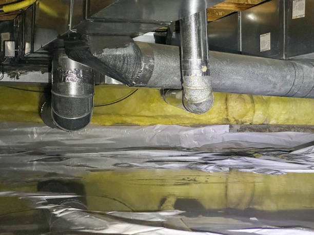 Best Flood damage cleanup  in , PA