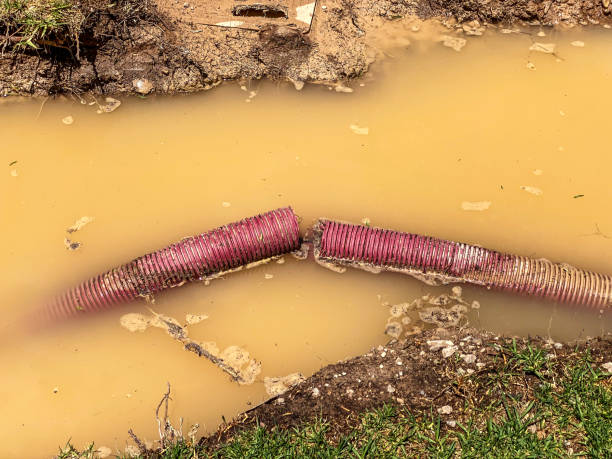 Best Mold removal after water damage  in , PA